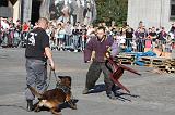 ARRESTATION POLICE 011